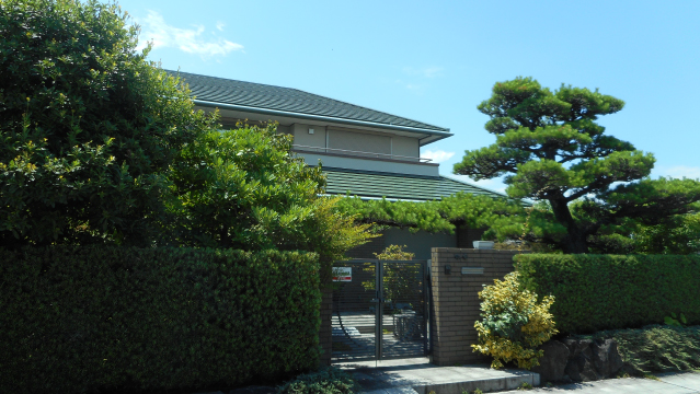 images_zire1 images_zire1